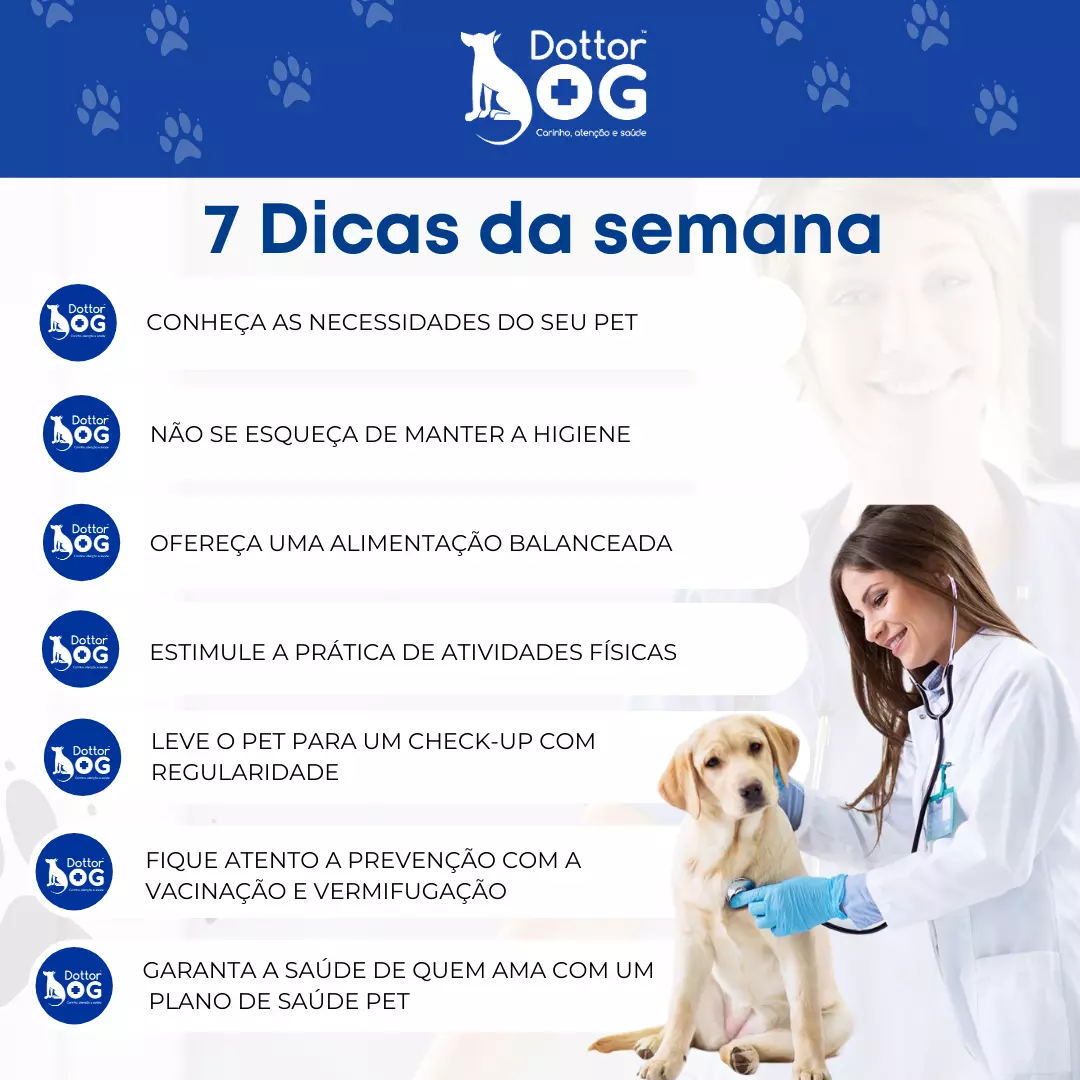 7 DICAS DA DRA. CRIS SANTATERRA